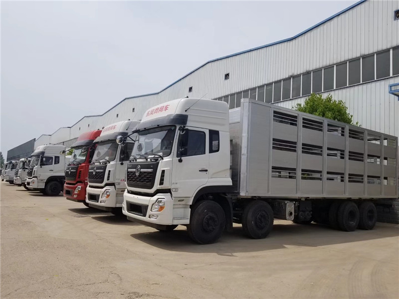 mmexport1587192108924.jpg