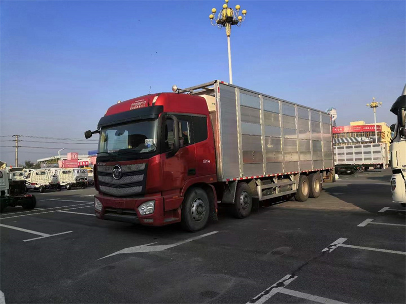 福田歐曼前四后八畜禽拉豬車 福田歐曼前四后八畜禽拉豬車
