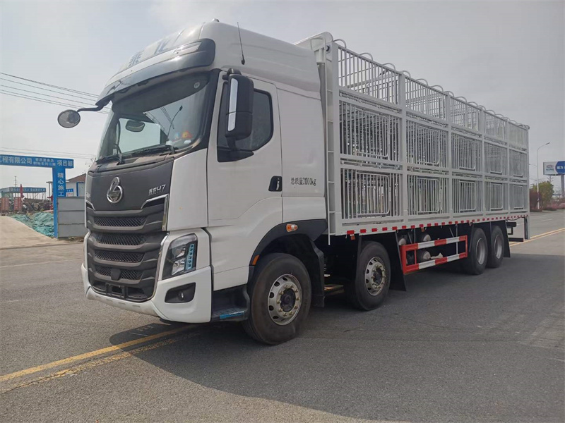 柳汽乘龍前四后八運豬車 柳汽乘龍前四后八運豬車